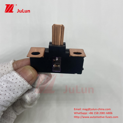 Potenza elettrica Sistemi elettrici Fusibili per autoveicoli Ricambi per autoveicoli Fusibili per motori 3821-TAB-A01