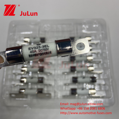 Caricabatterie / carica veloce per veicoli elettrici per DC750V Fuse di protezione carico chimico e alta temperatura