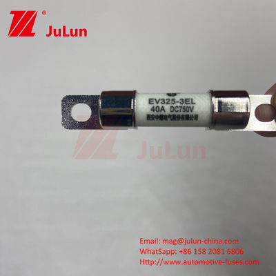 Caricabatterie / carica veloce per veicoli elettrici per DC750V Fuse di protezione carico chimico e alta temperatura