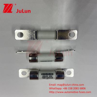 Protezione EV Fuse di conversione di potenza del veicolo elettrico 15A 30A 25A 750VDC 10x38 EV FUSE