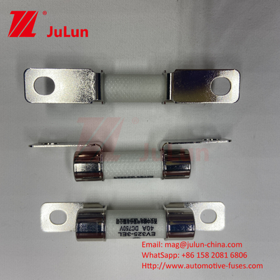 DC750V 10A-100A Fuse elettrico a scatola per il sistema di trazione del veicolo elettrico