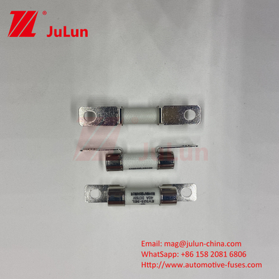 Fusibili per veicoli in ceramica 10A 15A 750VDC Fusibili per veicoli in ceramica 25A 30A 40A 50A Uses For EV Car Charger