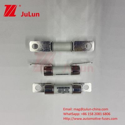 10x38mm Fusibili per auto in ceramica Bolt montato EV FUSE Affidabilità ambientale Conforme alla norma ISO8820
