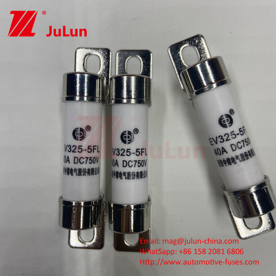 750VDC Immagazzinamento di energia 10A 25A 30A 50A EV FUS Automotive Ceramic Copper Electric Vehicle Fuse Per Immagazzinamento di Energia DC750V