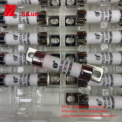 750VDC Immagazzinamento di energia 10A 25A 30A 50A EV FUS Automotive Ceramic Copper Electric Vehicle Fuse Per Immagazzinamento di Energia DC750V