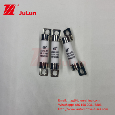 Fusibili elettrici incorporati per sistemi di trazione di veicoli elettrici 750VDC 25A 30A 40A 50A 14*51 Ues Per caricabatterie EV325