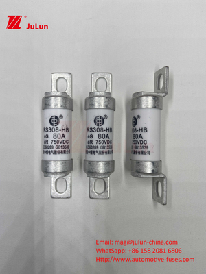 Fusibili per veicoli elettrici EV per DC750V Fusibili DC750V 10A 15A 20A 25A 30A Per applicazioni automobilistiche RS308
