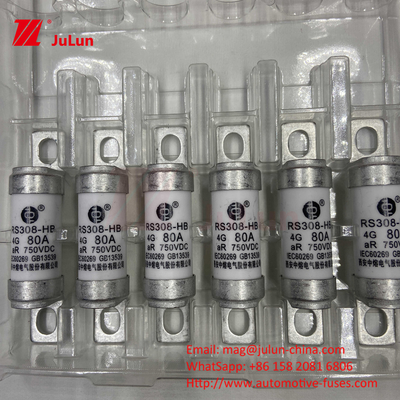 Fusibili per veicoli elettrici EV per DC750V Fusibili DC750V 10A 15A 20A 25A 30A Per applicazioni automobilistiche RS308