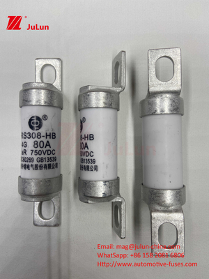 EV Fuse 100A Caratteristiche Costruzione avvitata Specificamente 750VDC 10A 25A 50A 63A