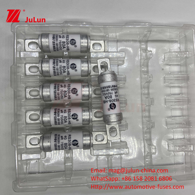 Fuse per veicoli elettrici RS308 DC750V 10A 15A 20A con eccellente resistenza alle vibrazioni 63A