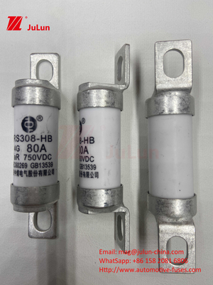 Fuse per veicoli elettrici RS308 DC750V 10A 15A 20A con eccellente resistenza alle vibrazioni 63A