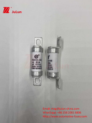 EV RS308 Fuse Shock Meccanico 25A 30A 40A 50A Ceramica rame tensione nominale DC750V Home EV caricabatterie per auto elettrica