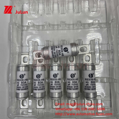 EV RS308 Fuse Shock Meccanico 25A 30A 40A 50A Ceramica rame tensione nominale DC750V Home EV caricabatterie per auto elettrica
