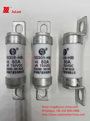EV RS308 Fuse Shock Meccanico 25A 30A 40A 50A Ceramica rame tensione nominale DC750V Home EV caricabatterie per auto elettrica