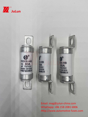 Fuse elettrico M6 con caricabatterie elettrica in ceramica a bullone 750VDC Fuse carica chimica e alta temperatura 40A 50A RS308