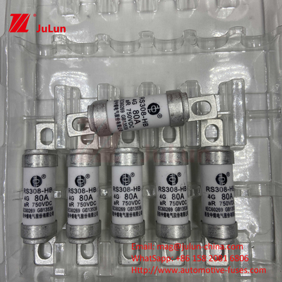 Fuse elettrico M6 con caricabatterie elettrica in ceramica a bullone 750VDC Fuse carica chimica e alta temperatura 40A 50A RS308