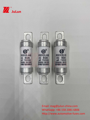 M6 Fusibile EV a bullone 750V 80A10A 30A 50A 750VDC Fusibile EV sono adatti per il sistema di trazione EV, conversione di potenza