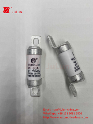 M6 Fusibile EV a bullone 750V 80A10A 30A 50A 750VDC Fusibile EV sono adatti per il sistema di trazione EV, conversione di potenza
