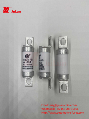 Fusibili per veicoli elettrici per il sistema di trazione di stoccaggio dell'energia e olted 750VDC 25A 30A 40A 50A per RS308 HB EV