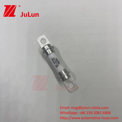 Sistema di accumulo di energia della batteria 500VDC 30A Fuse M6 Bolt