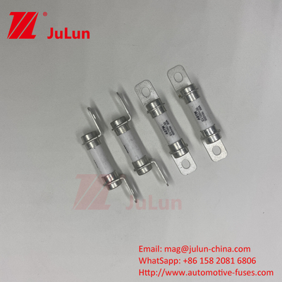 5A 10A 30A 50A 30A 500DV Sistema di forza per veicoli elettrici puri Fuse per veicoli ibridi