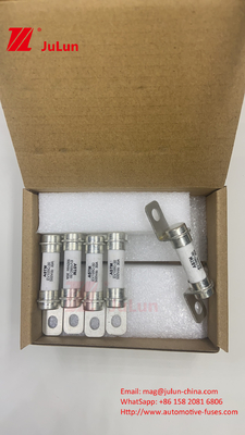 Fuse di distribuzione di potenza di tipo bullone M6 per le prestazioni di affidabilità della fusibile 40A 50A della batteria di stoccaggio dell'energia S