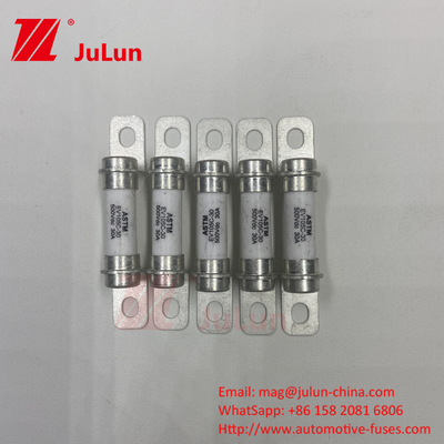M6 Bolt Home Ev Charger 30A 40A Bolt M6 Automotive Fuse di alta qualità 5A 500VDC