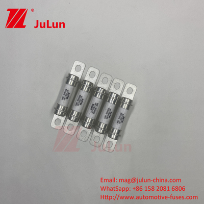 M6 Bolt Home Ev Charger 30A 40A Bolt M6 Automotive Fuse di alta qualità 5A 500VDC