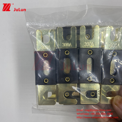 2Fork Bolt AGU Fusibile 200A/ANL Fork Bolt Fusibile Piastra Fusibile Fusibile Automotive 500A