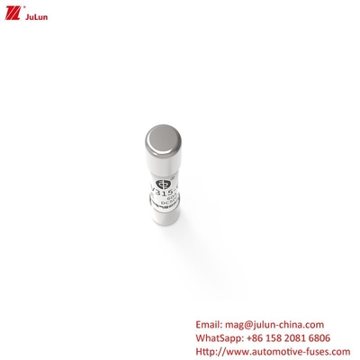 Fusibile per tubi EV315 500V 60A Nuova serie di prodotti di energia elettrica