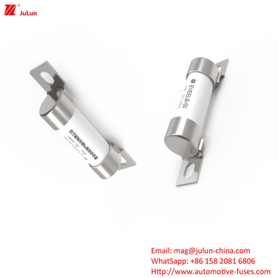 50A 1000V DC High Voltage Blade Fuse per veicoli elettrici