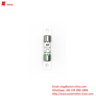 DC800V DC850V Affordable Fuse per caricabatterie per auto con protezione EV OEM Logo