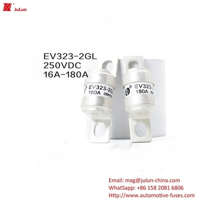 EV323-2GL 180A DC250V Adapter per caricabatterie EV Compatibile con fusibile energetico