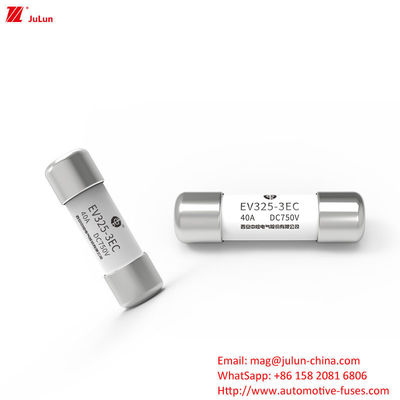 Protezione EV 40A Fuse per veicoli speciali per auto elettriche