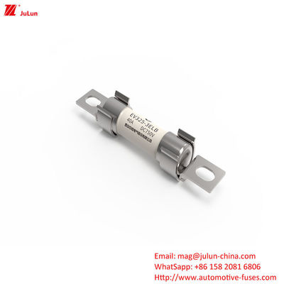 Bolt Screw Silver Coated Fuse Tensione nominale DC750V 40A Caratteristiche di fusione media