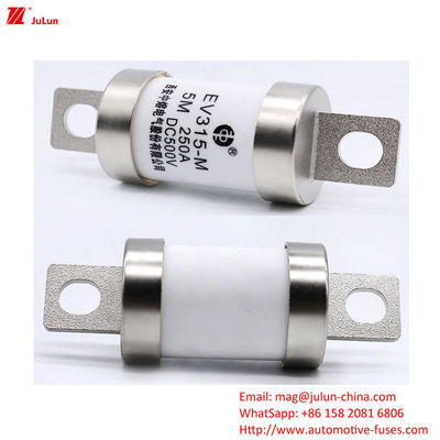 Fusibili per veicoli elettrici per veicoli elettrici Adapter per caricabatterie 100-400A DC500V