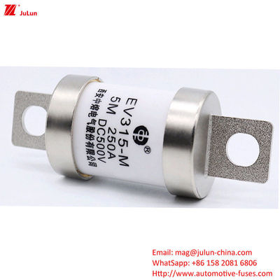 Fusibili per veicoli elettrici per veicoli elettrici Adapter per caricabatterie 100-400A DC500V
