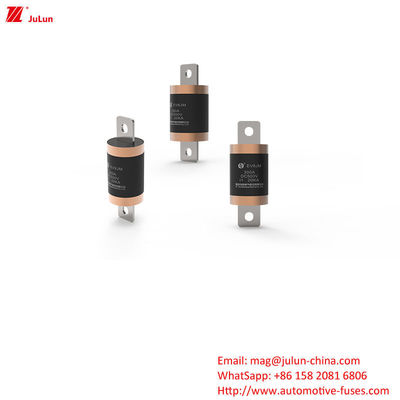 SINOFUSE Fuse per veicoli elettrici Soluzione perfetta per la protezione dei veicoli stradali 300A 500VDC