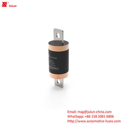 300A EV caricabatterie adattatore fusibile compatibile con SINOFUSE Heavy Duty bullone vite