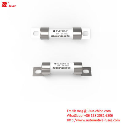 Protezione da bullone EV Fuse per caricabatterie EV portatile per soluzione di ricarica portatile DC1000V 10A-50A
