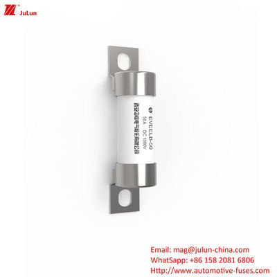 EVEELB-50A DC1000V fusibile di connessione a bullone a tubo rotondo