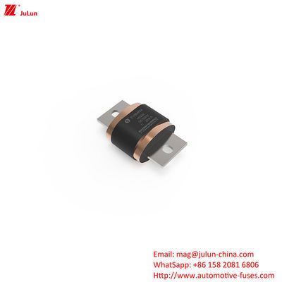 Fusibili elettrici per veicoli stradali - EV8-MKM DC500V 500A-1000A