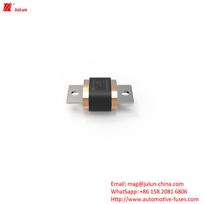 Fusibili elettrici per veicoli stradali - EV8-MKM DC500V 500A-1000A