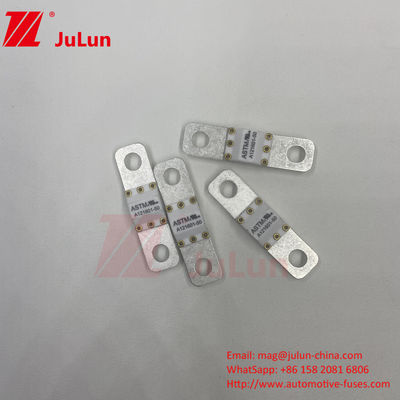 A121601-50A ASTM 125VDC Tipo di fusibile di protezione terminale elettrica per veicoli elettrici