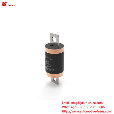 Bolt Screw Electric Vehicle Fast Charging 10KA 20KA Medium Fusing Rated 500VDC Fuse per veicoli a nuova energia