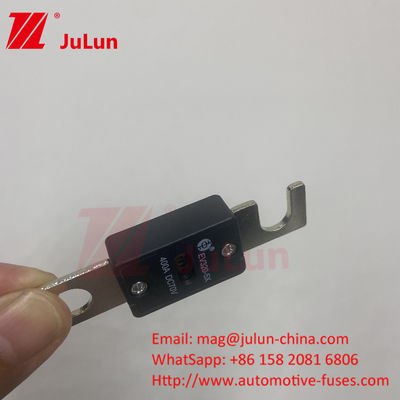 EV320-5X 80A 100A 125A 150A 175A 200A 70VDC EV Fuse per una protezione affidabile da cortocircuito