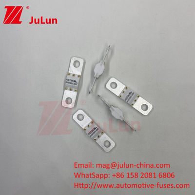 ASTM 100A Ev caricabatterie adattatore fusibile compatibile Ccs Ev ChargerBolt vite 125VDC 10KA 20KA