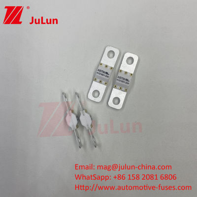 Fusibili per autoveicoli elettrici ASTM Fusibili 300A 125VDC