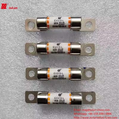 EV315L 3E Fusibili per autoveicoli Medi 10A-60A DC500V Protezione dei veicoli elettrici