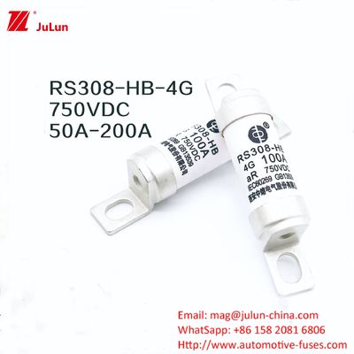 Adaptatore EV per caricabatterie RS308-HB4G Serie 32A 63A 100A Mini fusibili per auto
